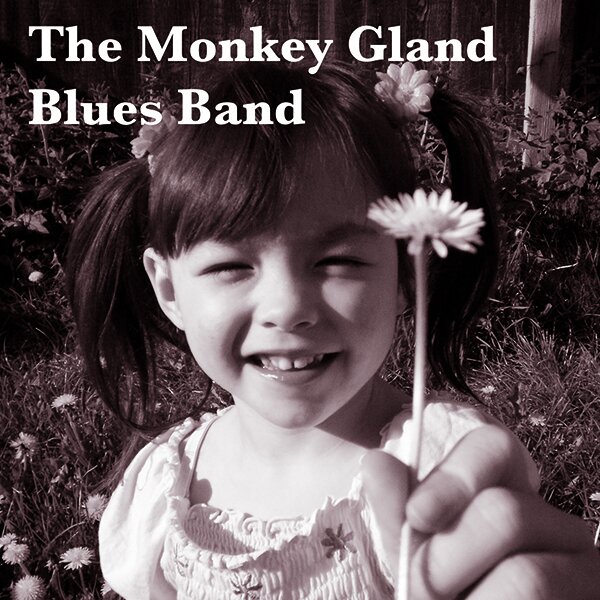 Monkey Gland Blues Band